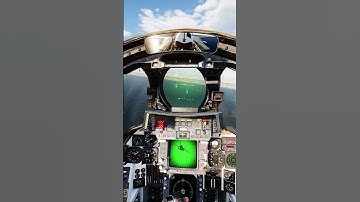 #shorts #DCS Dogfight Why the Tomcat is so good