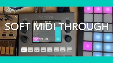 1010music Blackbox Tip: Soft MIDI thru (+ using the right TRS-MIDI cables)