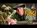 Fungi up close richard mann explores the secret life of fungi