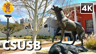 CSUSB Campus Walking Tour, Cal State University San Bernardino | {4k} 🔊 Binaural Sound