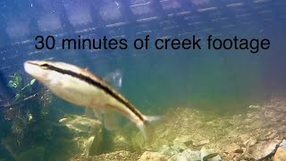 Ambient underwater creek footage (for studying, etc)