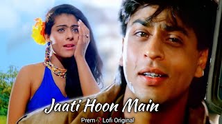 Jaati Hoon Main - Lofi Mix | Alka Yagnik | Kumar Sanu | Hindi Romantic Song | Hindi Lofi Song