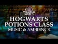 Harry potter  fantastic beasts  hogwarts potions class music  ambience collab with asmr weekly