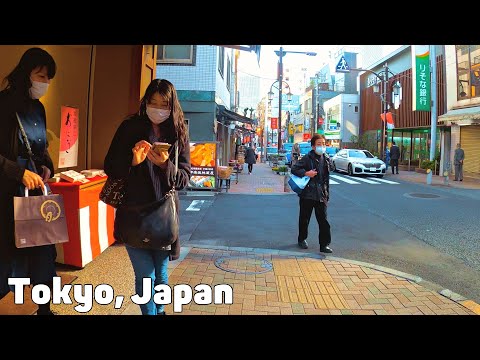 A Walk Through the Streets of Tokyo, Traditional and Modern Air You'll Love