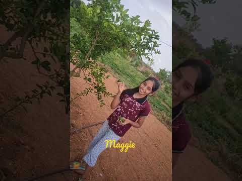 Maggie chakri