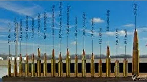 Top 10 rifle cartridges based on custom rifle builds in 2022