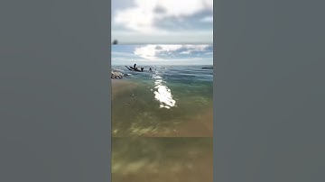 when you get healed you turn invisible #shorts #stranded #deep