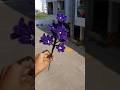 comments for order #customized #explore #love #reelstrending #pipecleaner #beautiful #viralvideo