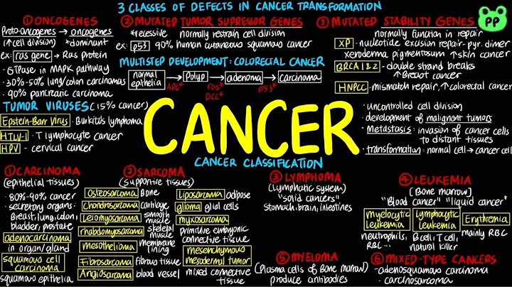 Cancer | Cell & Genetics 04 | Biology | PP Notes