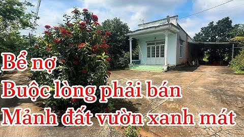 Chỉ vì cờ bạc nên a Hải đành bán đất để trả nợ tại BRVT