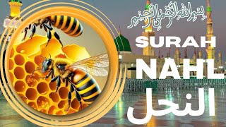 Surah An Nahl (سورة النحل) Best Quran recitation in the world