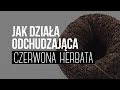 Herbata czerwona, opinie, parzenie, działanie, właściwości. Herbata pu-erh. Czajnikowy.pl