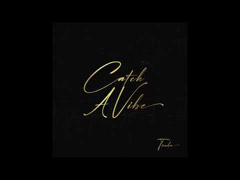 Catch A Vibe - Timba (Official Audio)