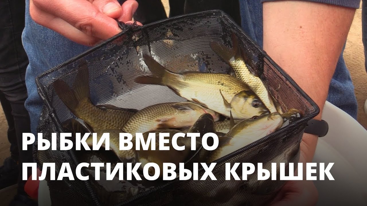 Когда выпустили волгу