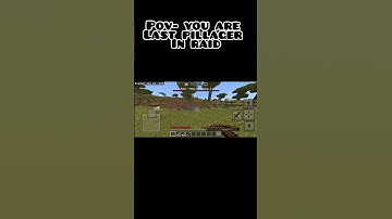 pov you are the last pillager in raid