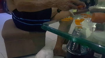 Guinea pig Peruvian Nuôi Thả Trong Nhà