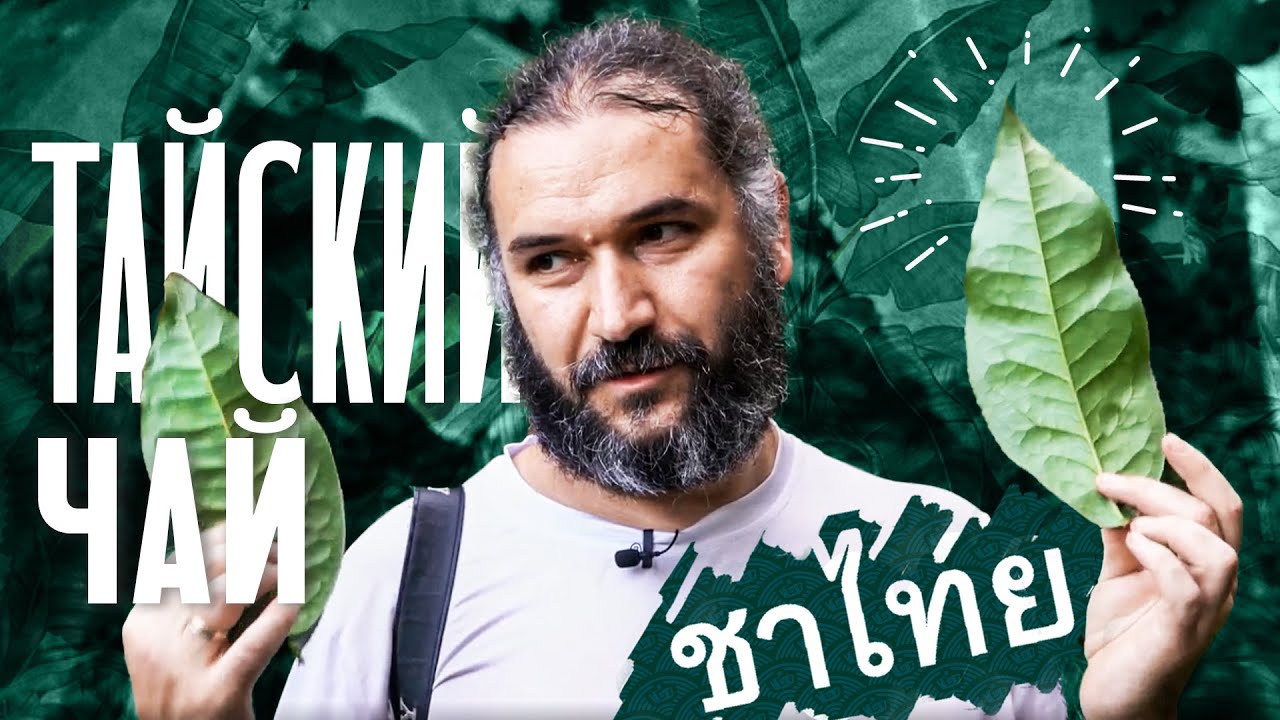 Чайные регионы Таиланда. Начало Moychay Tea Forest Project - YouTube