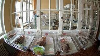Роддом в России Как устроен роддом Видео из роддома