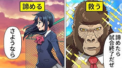 イケメンすぎるゴリラ Youtube イケメンすぎるゴリラ Youtube