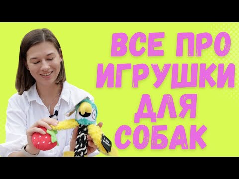 Обзор игрушек для собак, что нравится собакам больше всего, как правильно играть с собакой