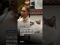 Caso Henry: defesa de Monique Medeiros quer liberação de gato para acompanhamento na prisão