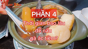 Phần 4 - THỜI GIAN BAO LÂU ĐỂ NẤU MÓN GÀ ÁC TIỀM THUỐC BẮC?