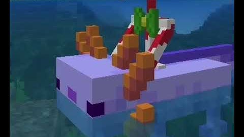 Axolotl Boat