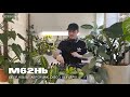 Zenith Session | 35 | M62Hb | Jul 12 / 2024