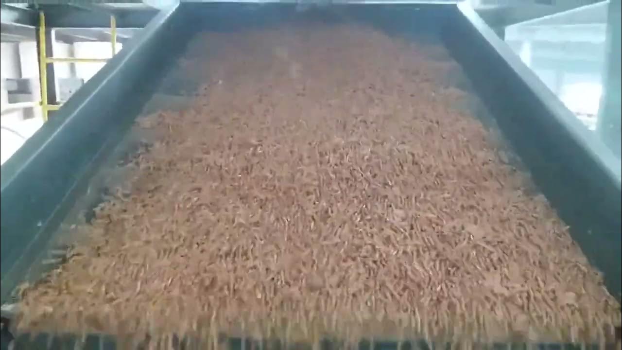 Amazing pellets rotary screen sifter in the process of biomass pellet