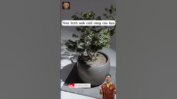 ánh sáng trong lumion - khoá học lumion