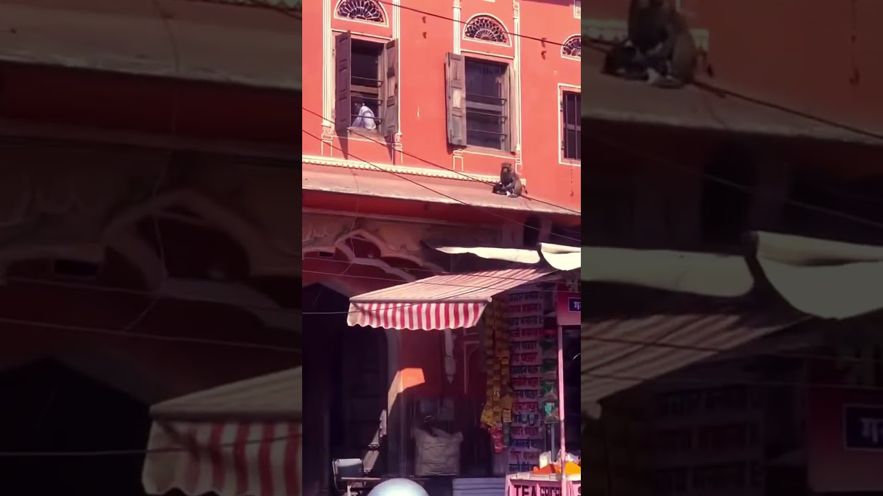 Earthquake in Rajasthan Today live 