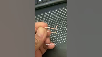 How toHard Reset Ip camera Dahua