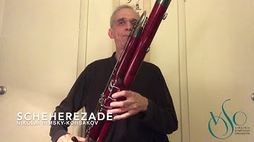 VSO Music Learning Lab – Virtual Petting Zoo: Bassoon