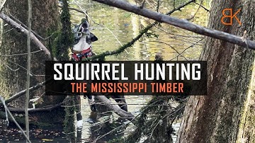 Squirrel Hunting the Mississippi Timber | Benson