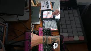 Empower take 2 - Partial #analog - full #techno - no AI #behringer #arturia #synth #bitwigstudio