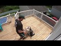 How to Sand a Deck: Prep before stain How to Sand a Deck: Prep before stain