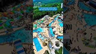 새로 리뉴얼한 역대급 꿀잼 3개 슬라이드