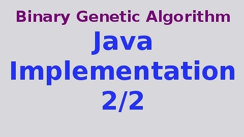 Genetic Algorithms 9/30: Binary Genetic Algorithm .. Java Code 2/2