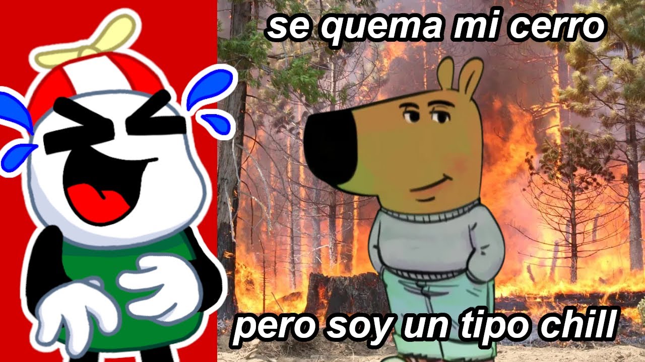Estos Memes De Tiktok Te Volveran Un Tipo Muy Tranquilo y Chill / Sabado De Memes