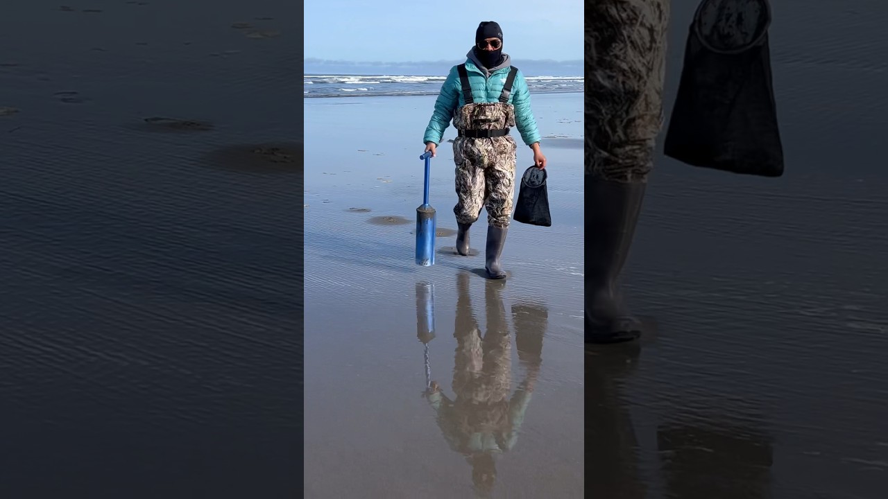 Clam digger finds razor clam