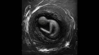 Hichkas - Har Ye Rooz (feat. Poobon)