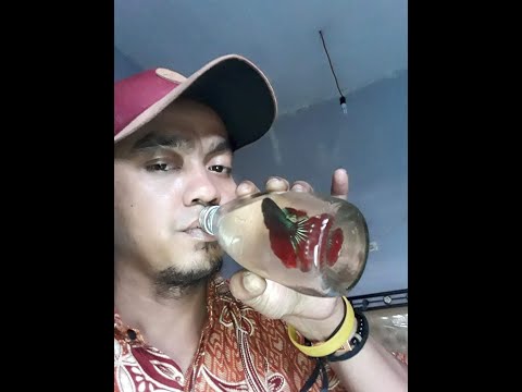 TADI SIANG SERU YA KWAOWKAOWKAOWKAOWK