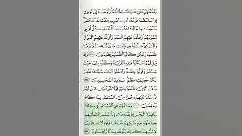 سورة الأعراف - من الآية 156 حتى الآية 170