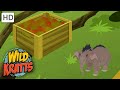 Wild Kratts |Elephant Brains|Wildlife