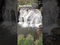 Water isthe driving force ofall nature.Rivers are natures song.There isno life onearth without water
