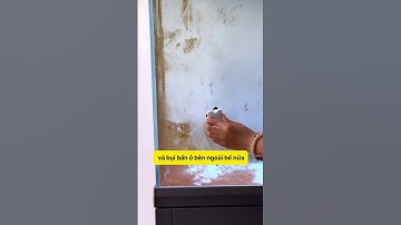 Làm sạch bể cá dễ dàng với bàn chải từ tính cực mạnh! 💪🌊 #notashopvn #tuanaquarium #aquarium #fish