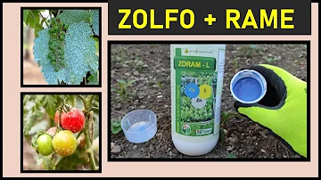 Come si presenta lo zolfo in natura?