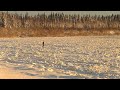 Люди Крайнего Севера | Большая река маленького народа Коми | Зима на Печоре