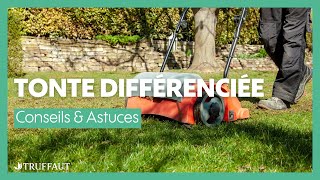 Tonte Différenciée Une Pelouse Naturelle Au Service De La Biodiversité - Truffaut