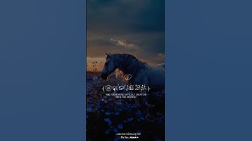 تلاوات خاشعه( اانتم اشد خلقا ام السماء بناها)  القارئ عبد الله احمد